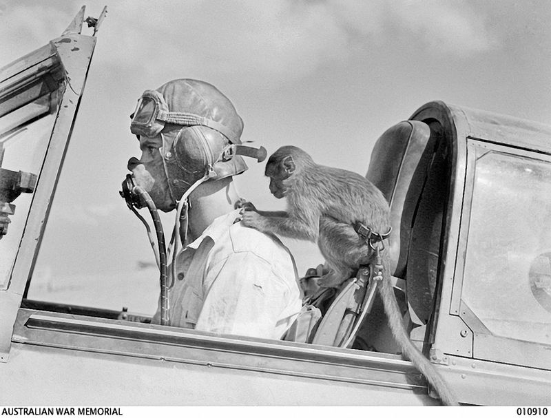 © Marta Bogdanska - George Silk, Australian War Memorial, from the project SHIFTERS