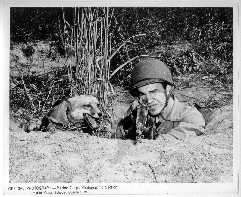 © Marta Bogdanska - Official photographer, U.S. Marine Corps, from the project SHIFTERS