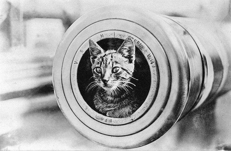 © Marta Bogdanska - Public domain, from the project SHIFTERS