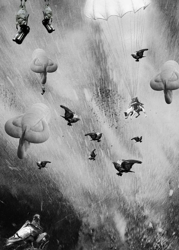 © Marta Bogdanska - Collage #2, from the project SHIFTERS, 2021