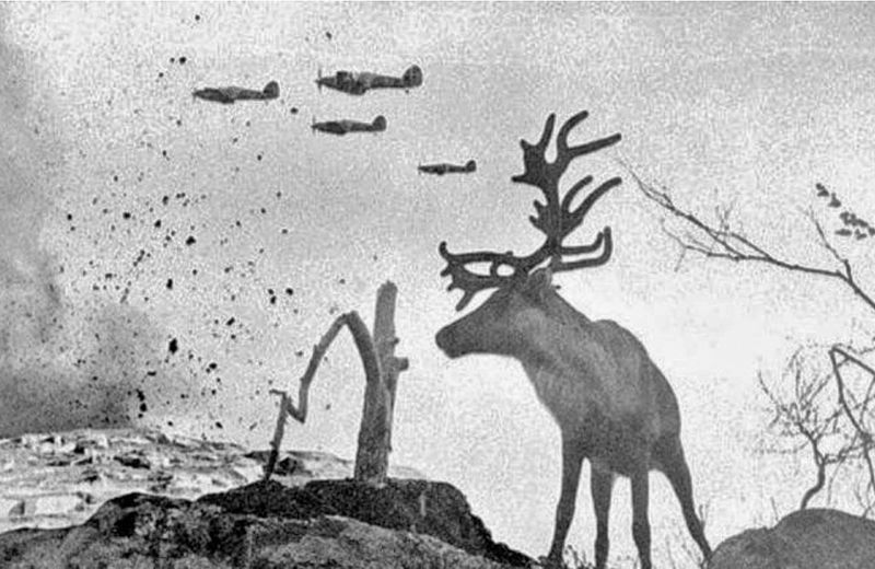 © Marta Bogdanska - Public domain, from the project SHIFTERS