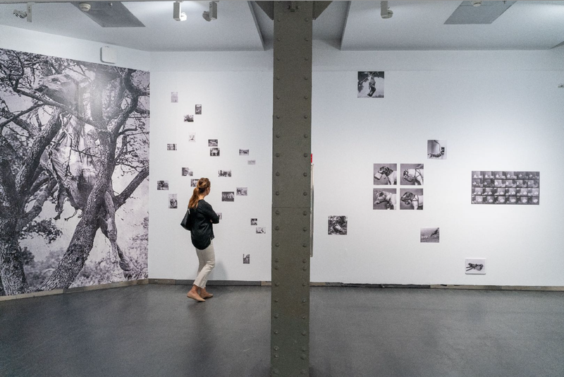 © Marta Bogdanska - SHIFTERS, in a group show "Hybrids: Forging New Realities a Counter-Narrative", PHotoESPANA, CentroCentro, June 2022