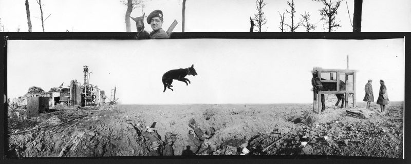 © Marta Bogdanska - Collage #3 (Trenches), from the project SHIFTERS, 2021