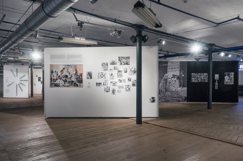 © Marta Bogdanska - SHIFTERS, in a group show "Coexist: Liberty, Equality, Biodiversity", FOTOFESTIVAL LODZ, Art Inkubator, June 2022