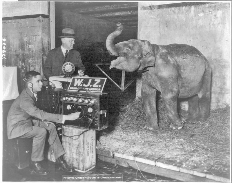 © Marta Bogdanska - Underwood & Underwood, Library of Congress, from the project SHIFTERS