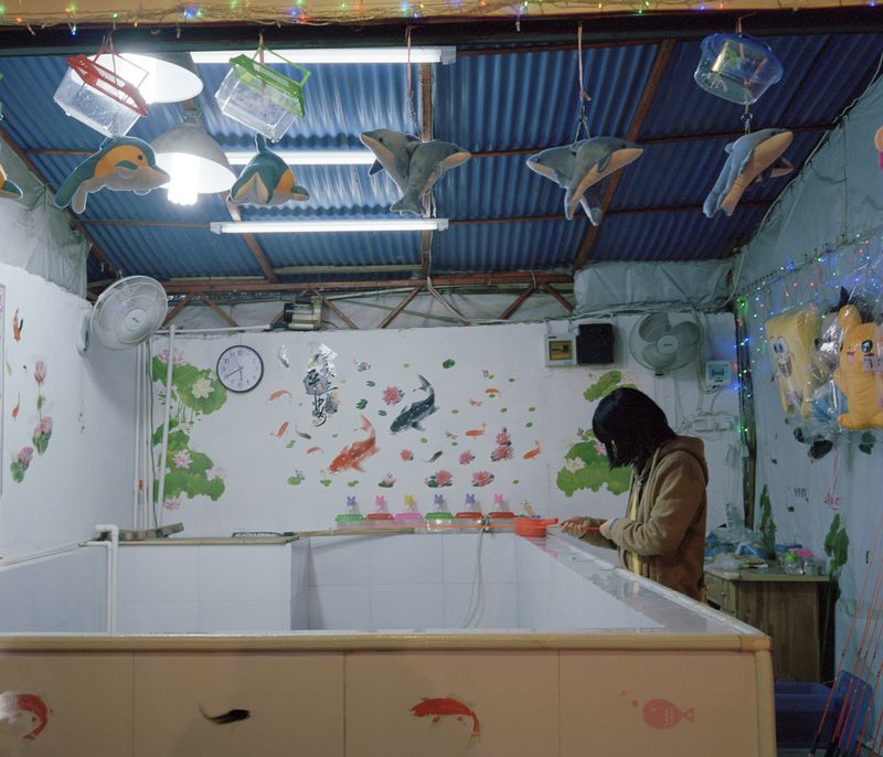 © Ke Peng - Image from the PRIMAL PLANET photography project