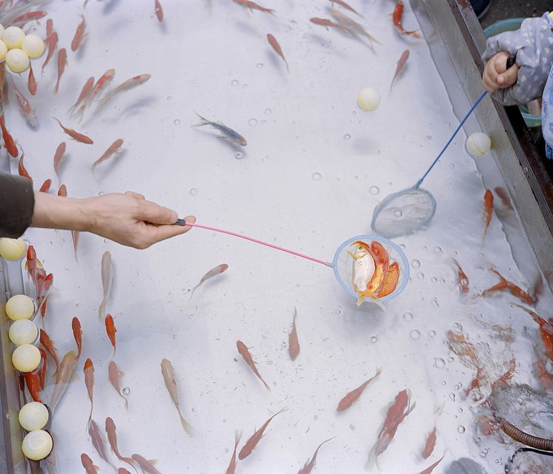 © Ke Peng - Image from the PRIMAL PLANET photography project