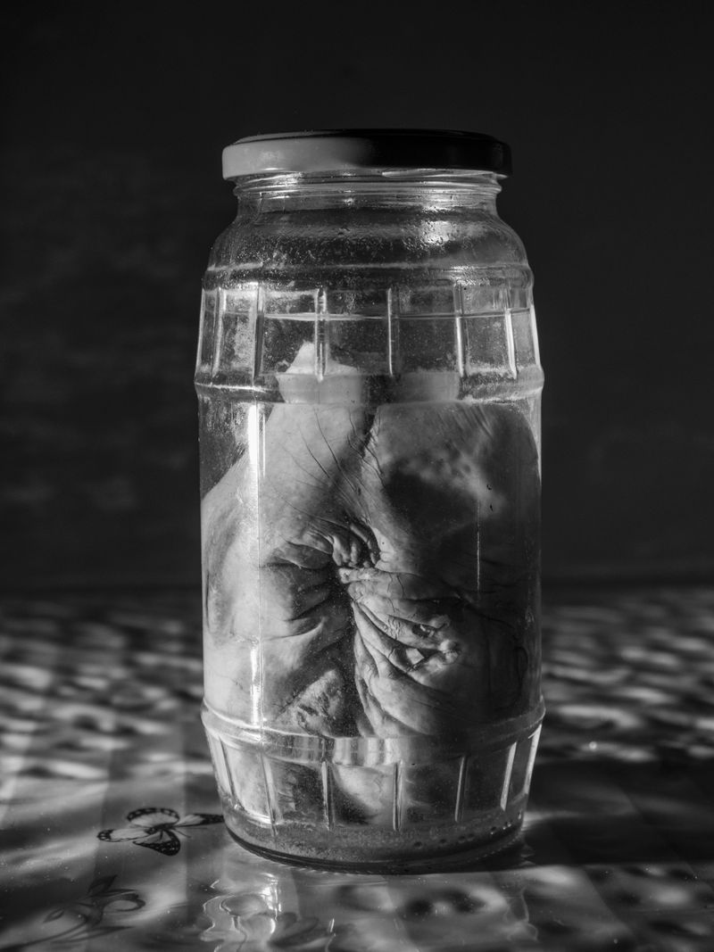 © Musuk Nolte - Image from the The Jaguar Dies in a Defensive Position photography project