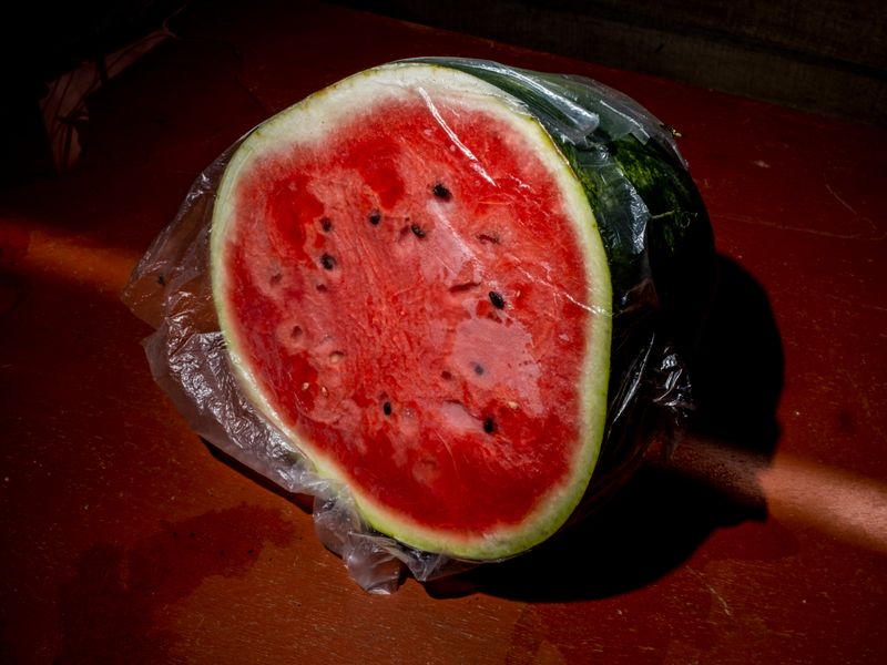 © Musuk Nolte - Image from the The Jaguar Dies in a Defensive Position photography project