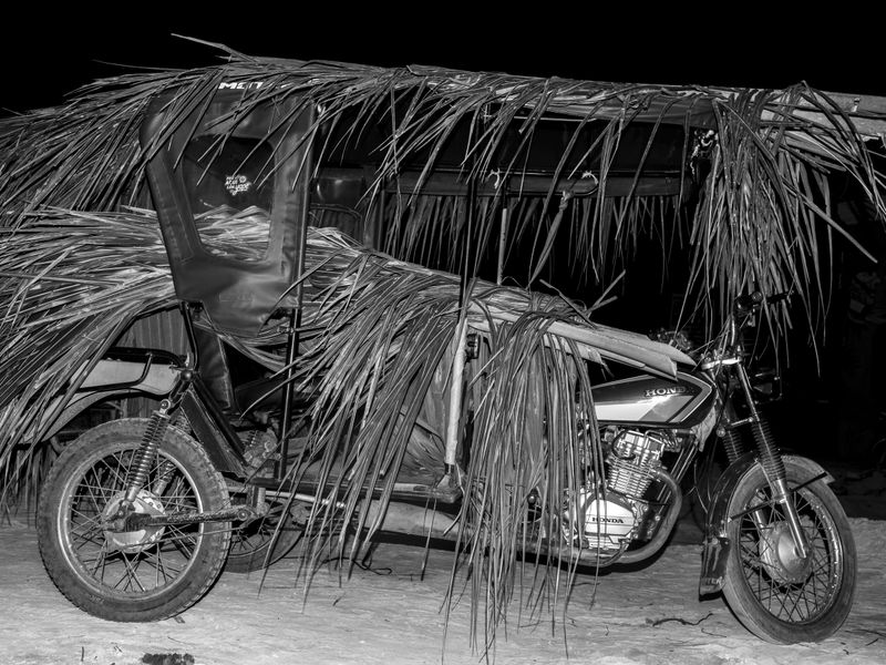 © Musuk Nolte - Image from the The Jaguar Dies in a Defensive Position photography project