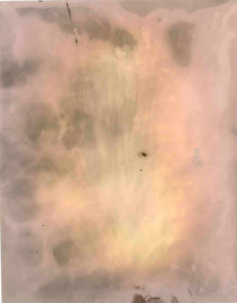 © Pia Jaime - Hair.Solarised Photogram.A6