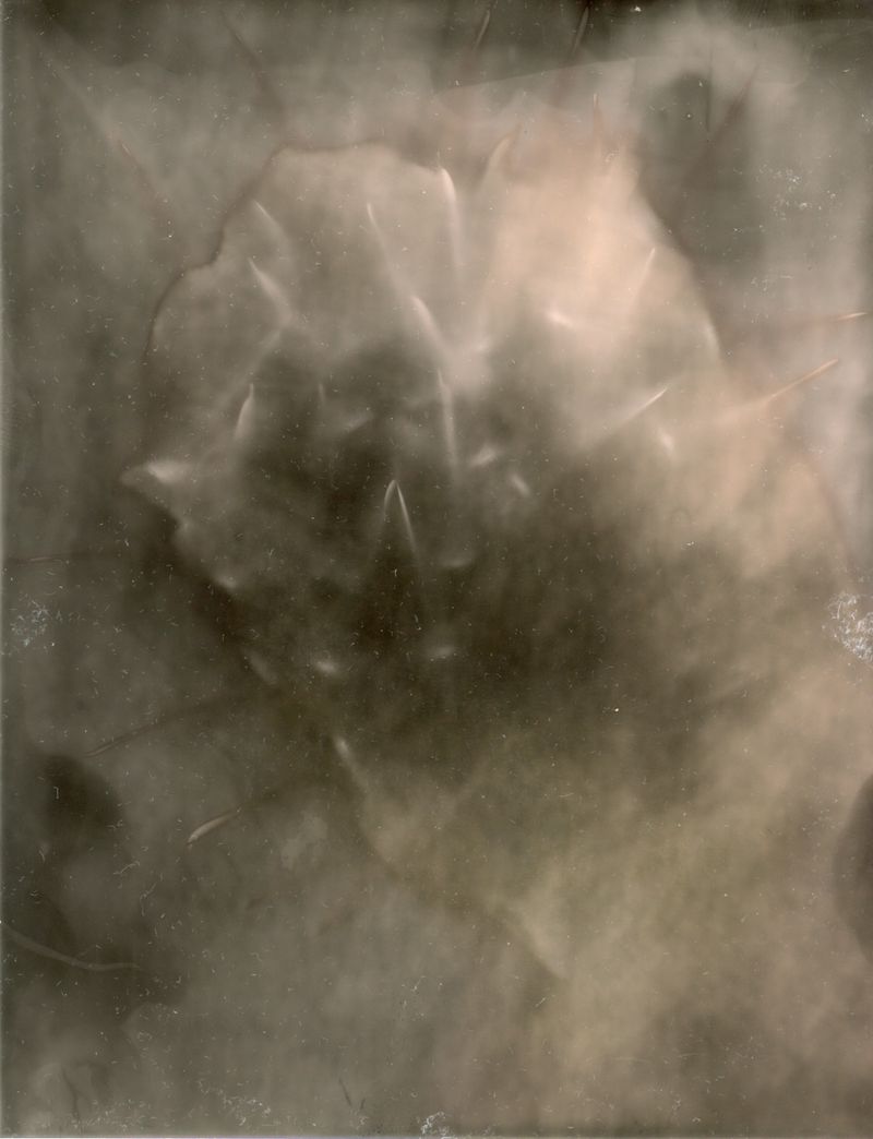 © Pia Jaime - Sock.Solarised Photogram.A6