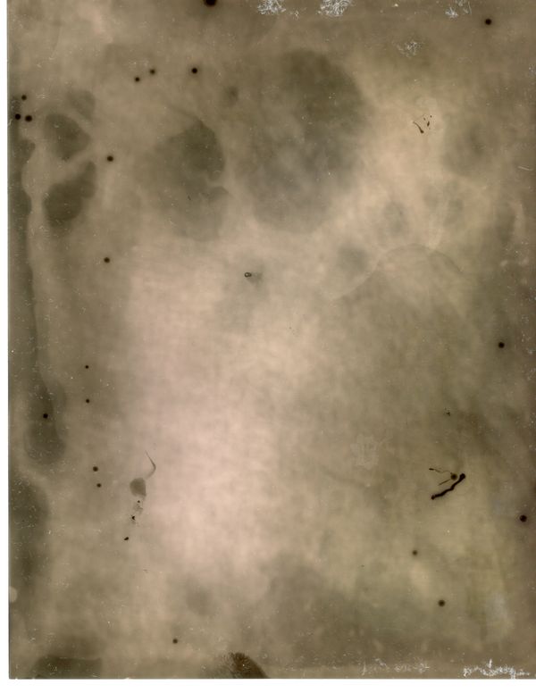 © Pia Jaime - Debris.Solarised Photogram.A6