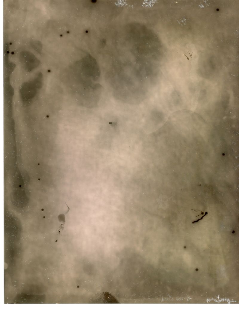 © Pia Jaime - Debris.Solarised Photogram.A6