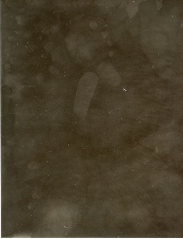 © Pia Jaime - Light Touch.Solarised Photogram.A6