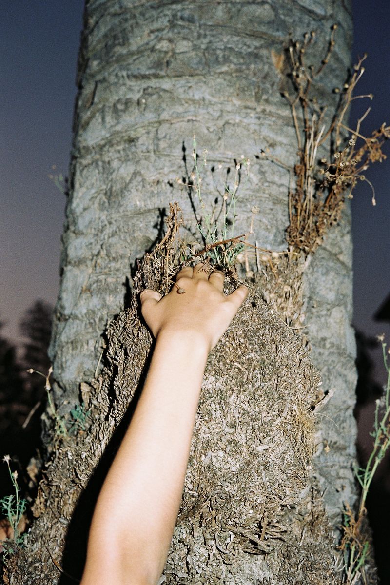 © Francois Jonquet - Image from the everyday i would be there photography project