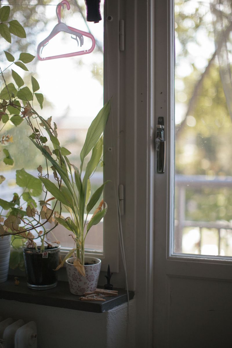 © Pratya Jankong - Image from the ''Swedish Family'' photography project