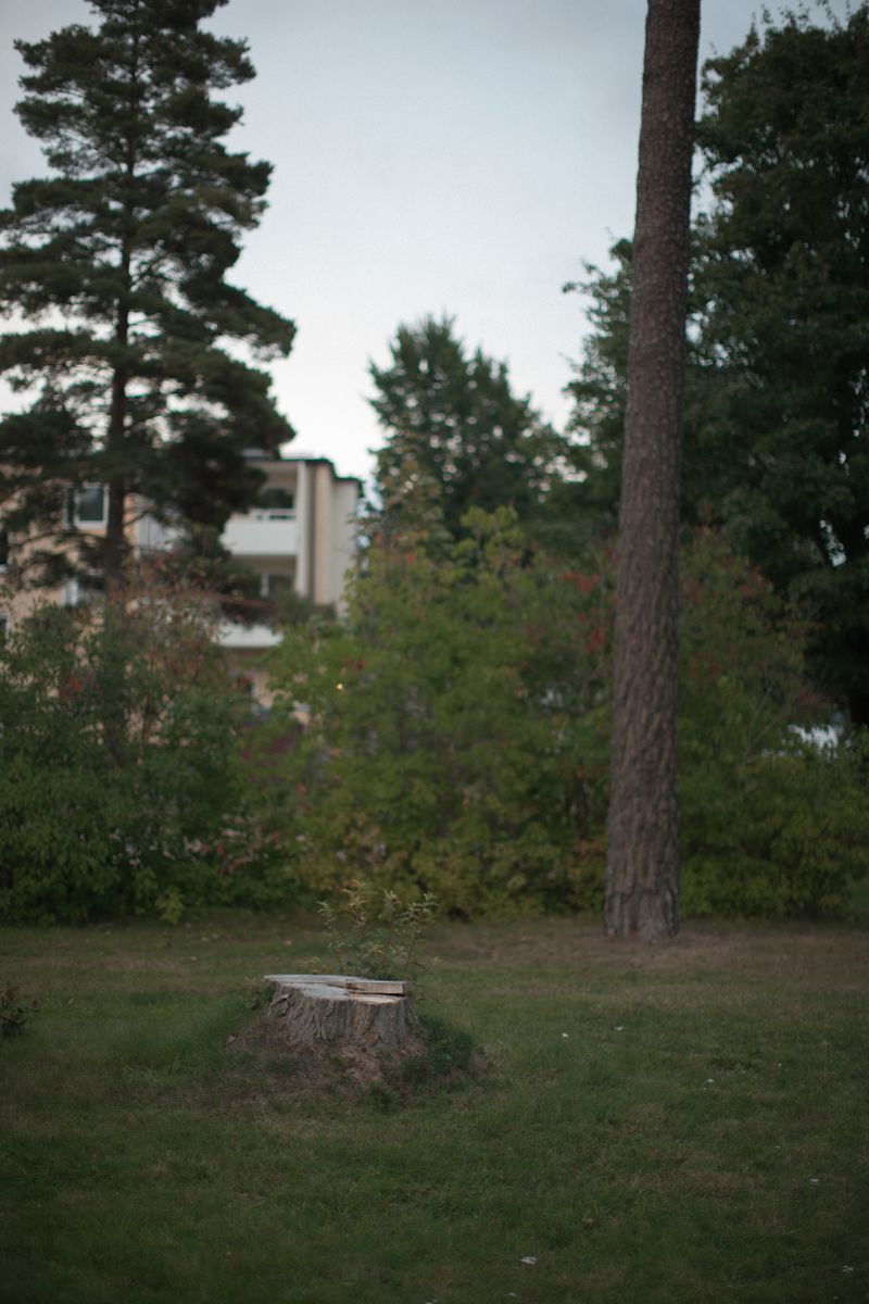 © Pratya Jankong - Image from the ''Swedish Family'' photography project
