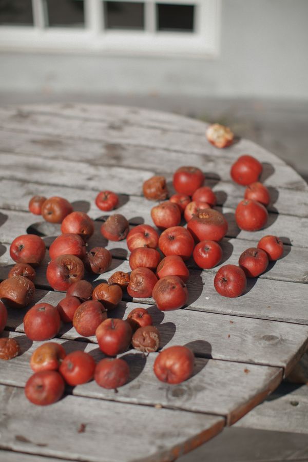 © Pratya Jankong - Image from the ''Swedish Family'' photography project