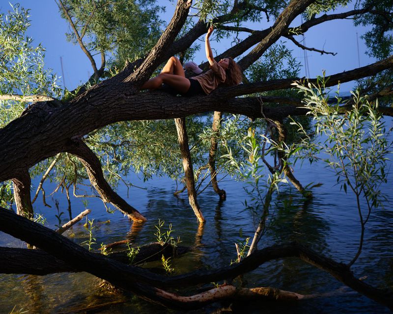 © Tommy Keith - Alba With Her Favourite Tree, 2025