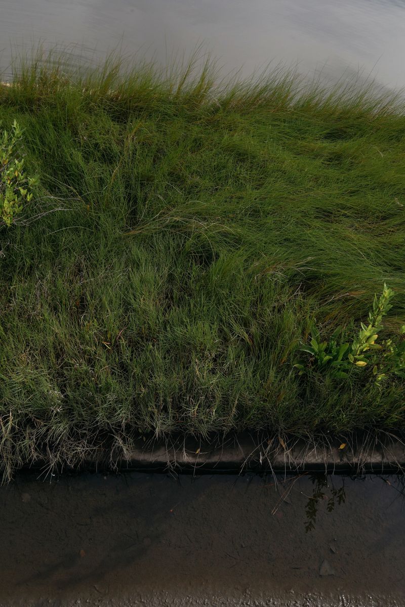 © Angela Ramsey - A patch of grass is the only thing that let's you know this isn't part of the river.