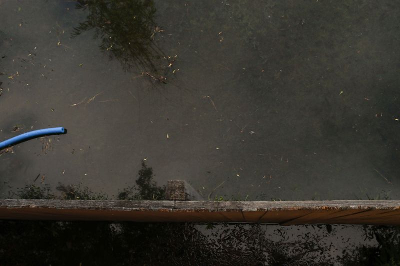© Angela Ramsey - A lonely pool noodle floats in the flooded backyard of a Larchmont resident.