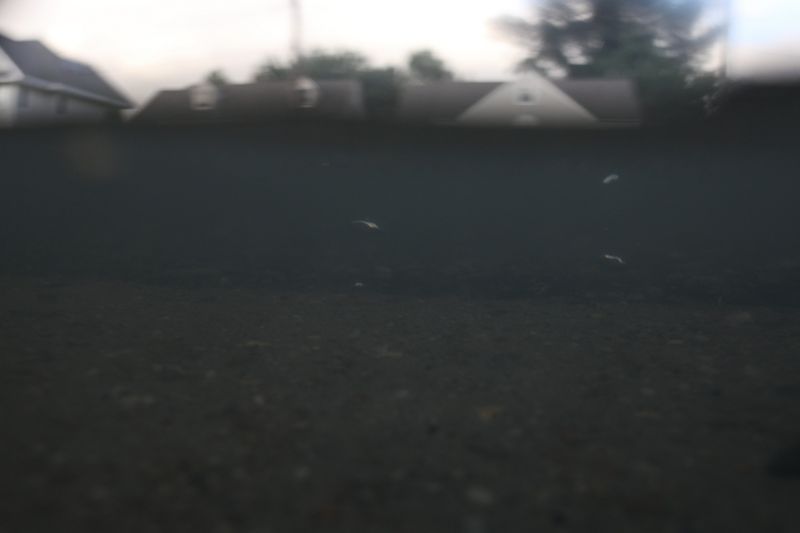 © Angela Ramsey - Low lying streets are underwater often in the neighborhood of Larchmont, in Norfolk, Va.