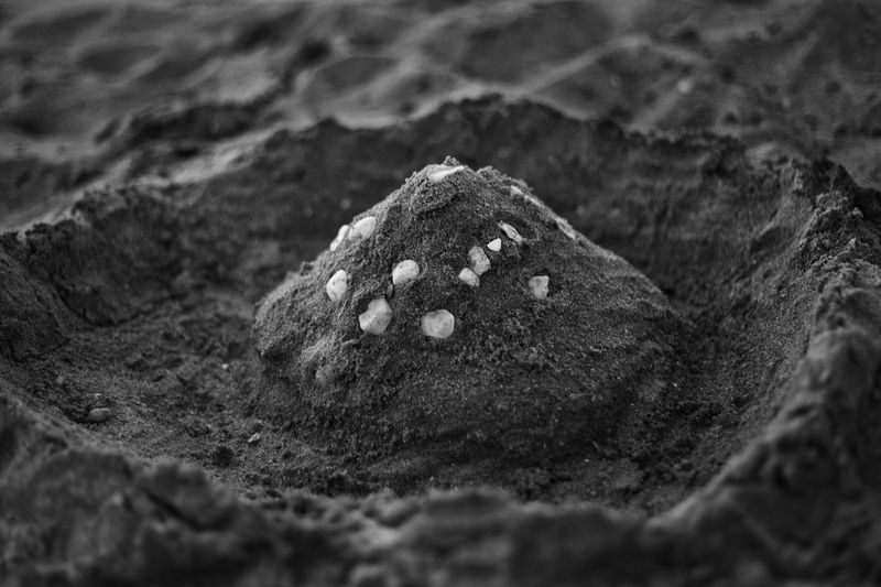 © Valda Nogueira - A sand castle found at the Cardo Beach.