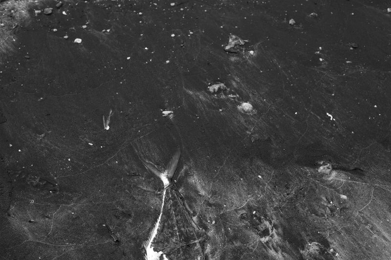 © Valda Nogueira - Image from the Porto: between the spirits and the fish photography project