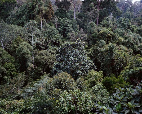 © Anne Moffat - Image from the Forget Me Not photography project