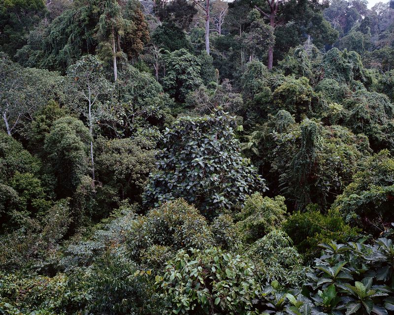 © Anne Moffat - Image from the Forget Me Not photography project