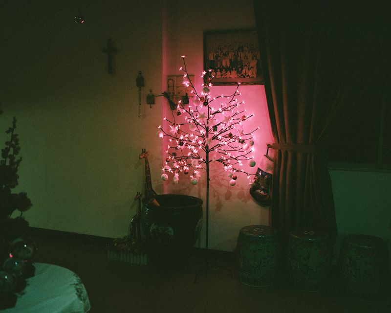 © Anne Moffat - Image from the Forget Me Not photography project