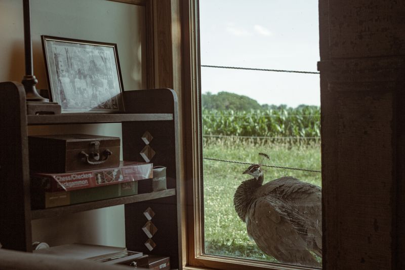 © Brindha Anantharaman - Image from the Midwest Manifest photography project