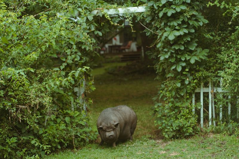 © Brindha Anantharaman - Image from the Midwest Manifest photography project