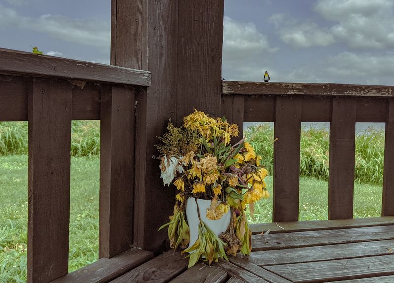 © Brindha Anantharaman - Image from the Midwest Manifest photography project