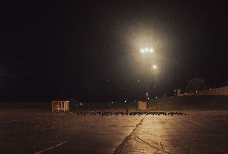 © Brindha Anantharaman - Image from the Midwest Manifest photography project