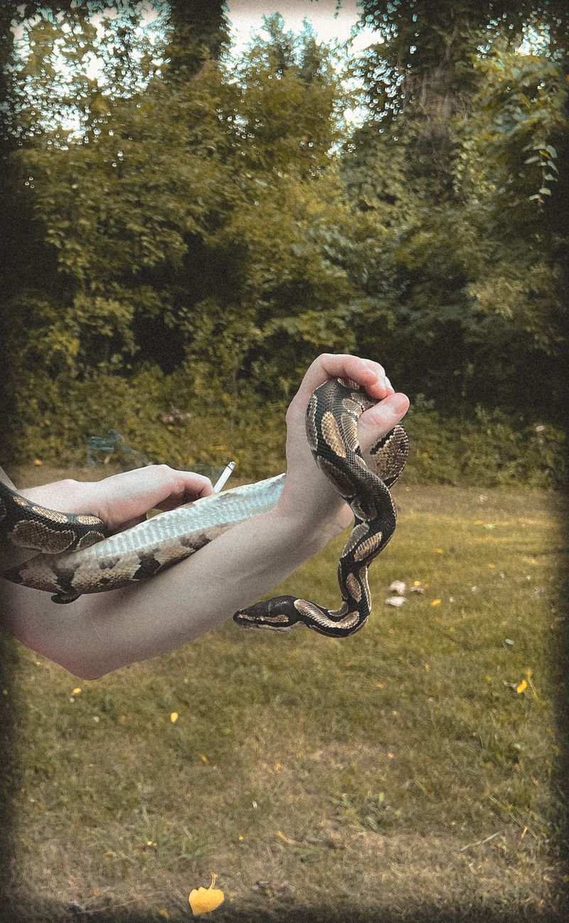 © Brindha Anantharaman - Image from the Midwest Manifest photography project