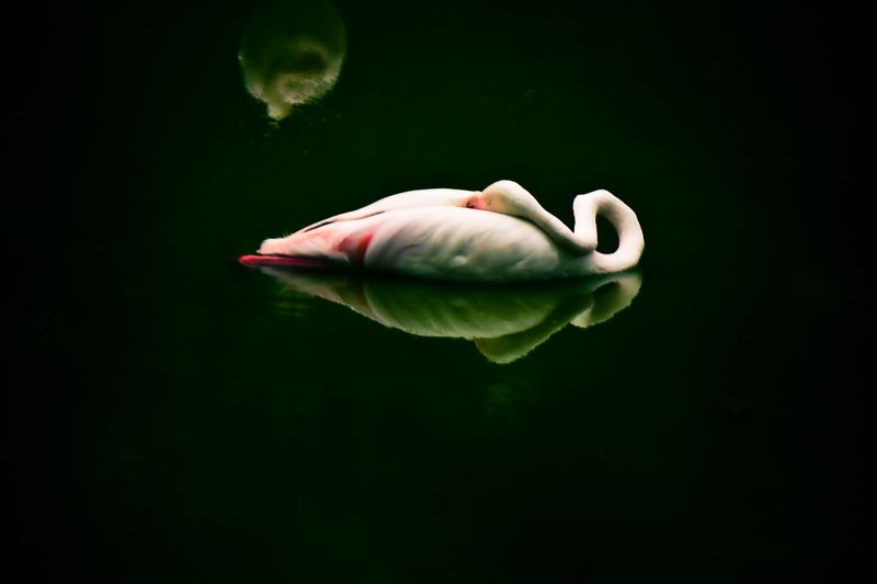 © Brindha Anantharaman - Image from the Jottings of an Unloved photography project