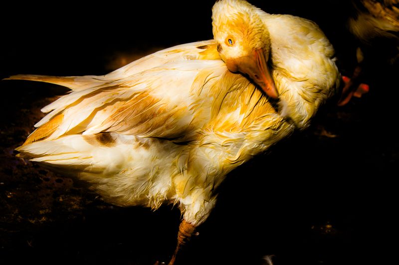 © Brindha Anantharaman - Image from the Jottings of an Unloved photography project