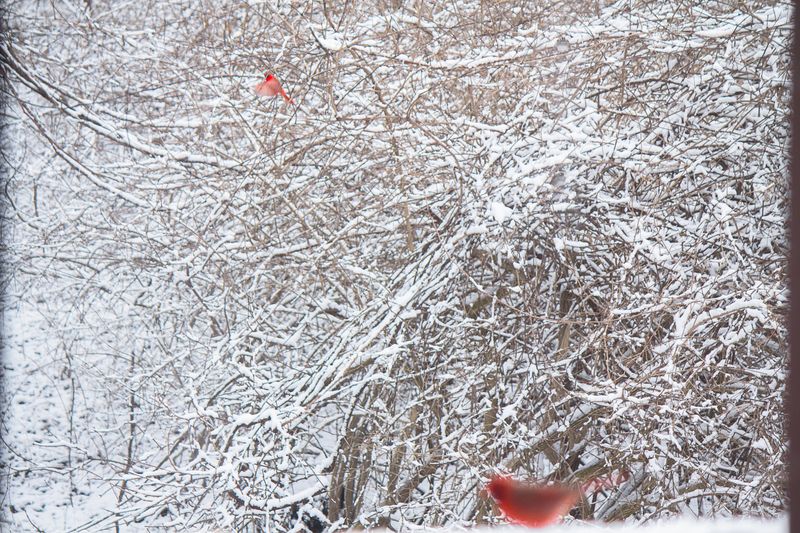 © Brindha Anantharaman - Image from the Jottings of an Unloved photography project