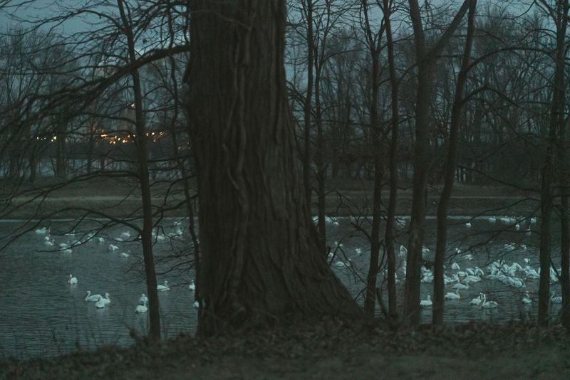 © Brindha Anantharaman - Image from the Jottings of an Unloved photography project