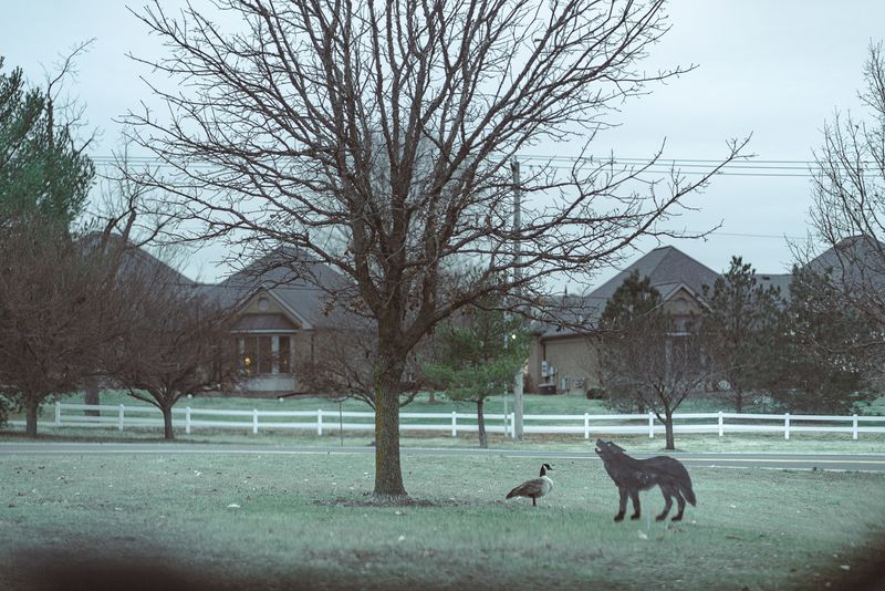 © Brindha Anantharaman - Image from the Jottings of an Unloved photography project