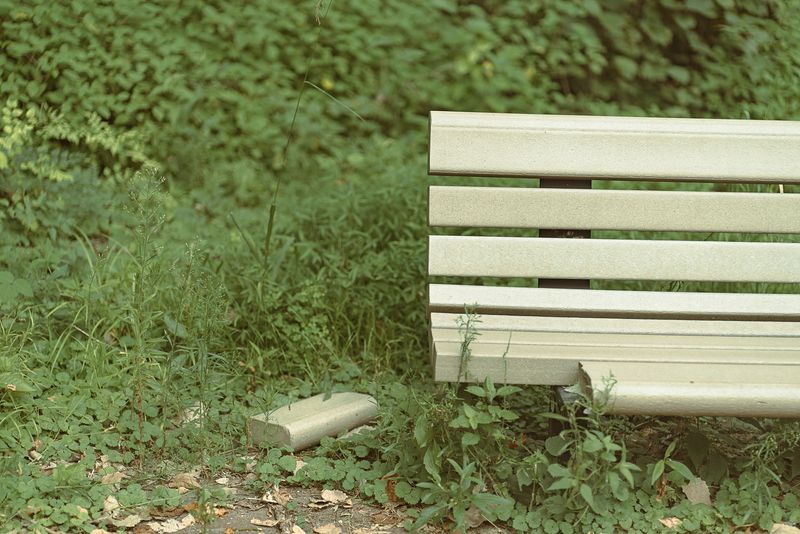 © Brindha Anantharaman - Image from the Jottings of an Unloved photography project