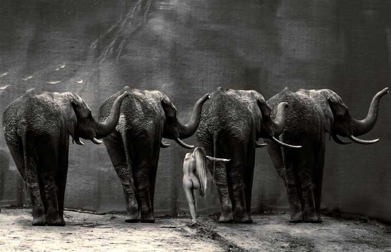 © Cheraine Collette - Image from the Where Is Adam? photography project