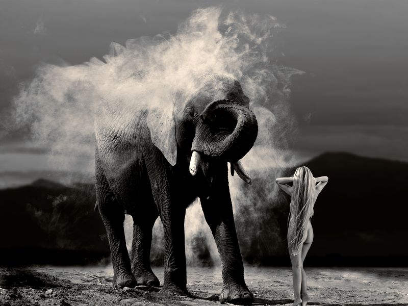© Cheraine Collette - Image from the Where Is Adam? photography project