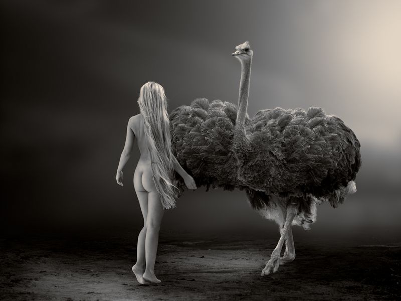© Cheraine Collette - Image from the Where Is Adam? photography project