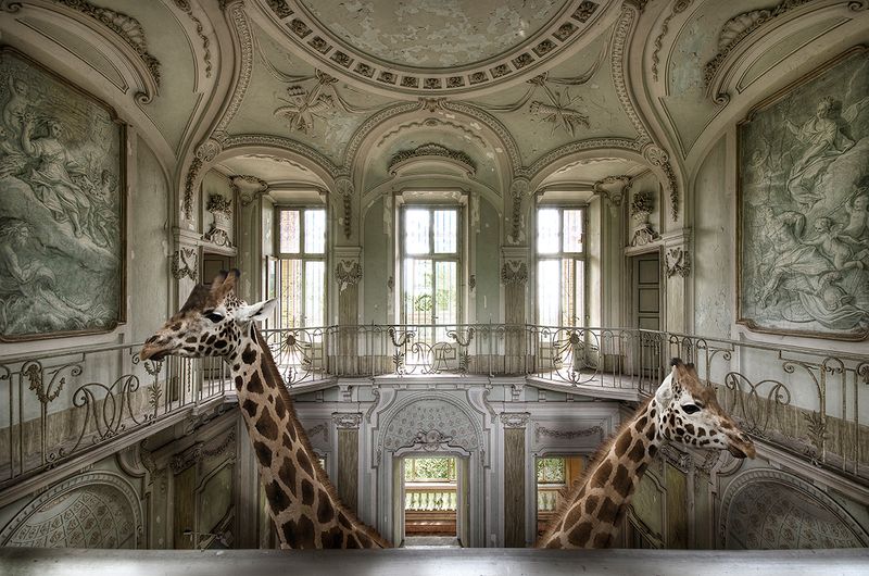 © Cheraine Collette - Image from the MARVELS photography project