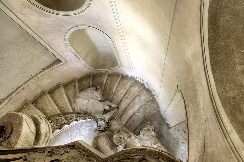 © Cheraine Collette - Image from the MARVELS photography project