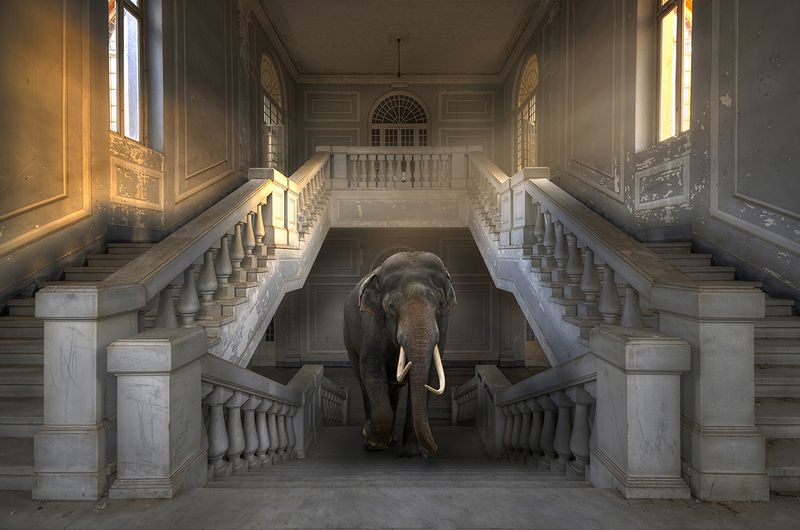© Cheraine Collette - Image from the MARVELS photography project