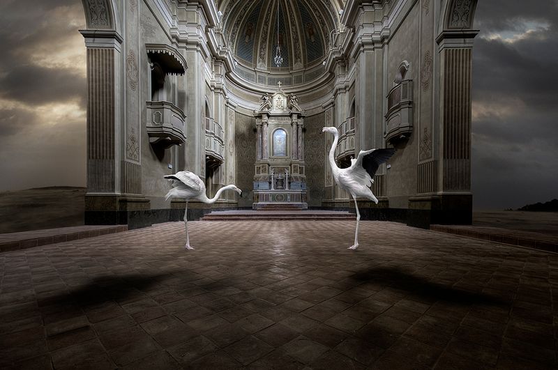 © Cheraine Collette - Image from the MARVELS photography project